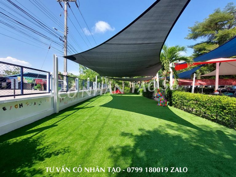 Cỏ nhân tạo trải sân vườn đẹp