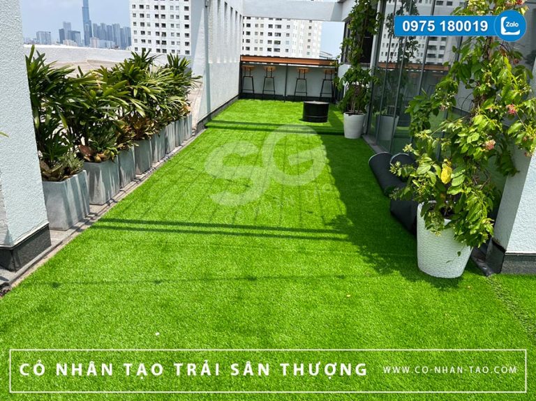 Cỏ nhân tạo trải sân thượng