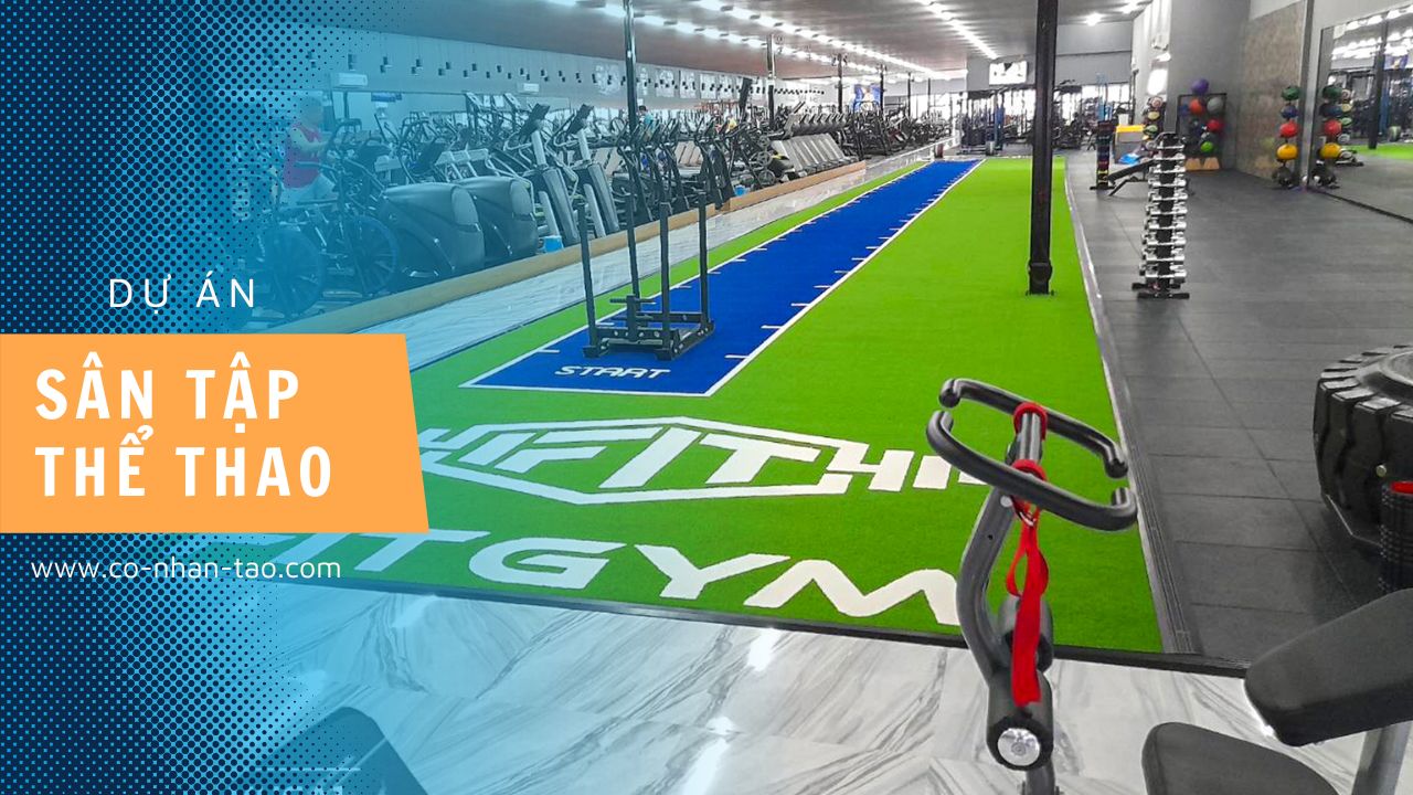 Dự án phòng tập gym