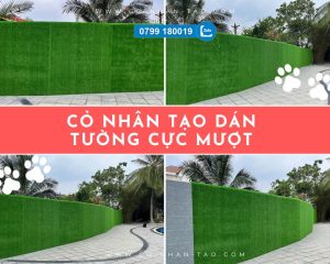 Cỏ nhân tạo dán tường rào cực đẹp