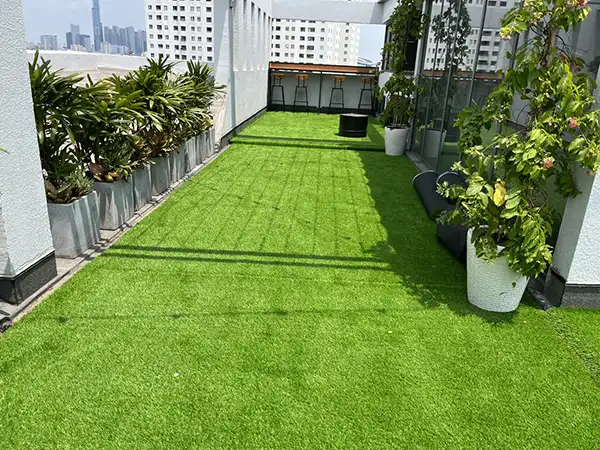 Cỏ nhân tạo trải sân thượng