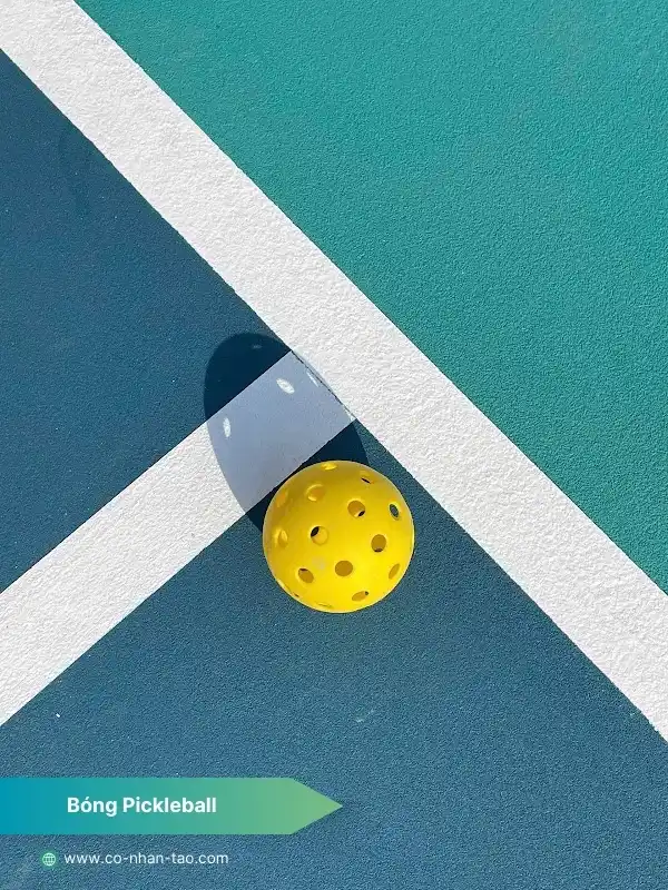 Bóng chơi Pickleball