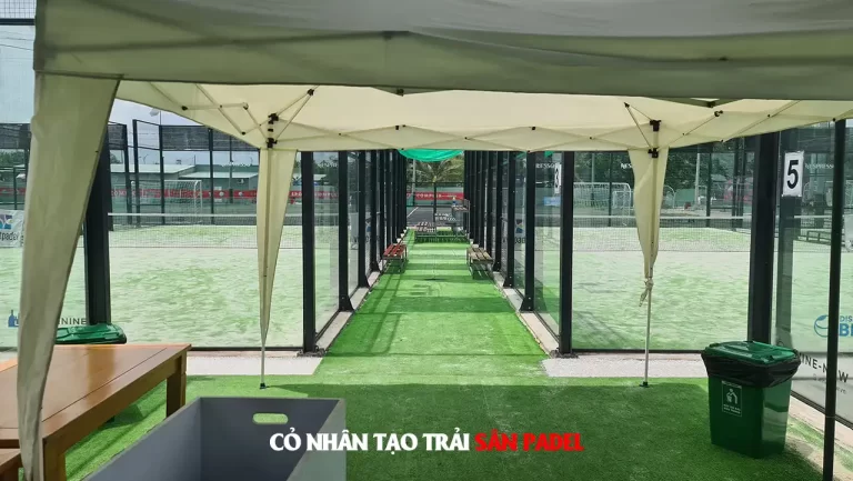 Cỏ nhân tạo trải sân padel
