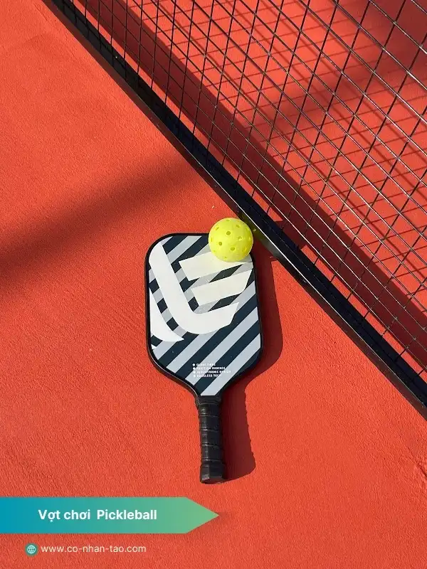 Vợt chơi Pickleball