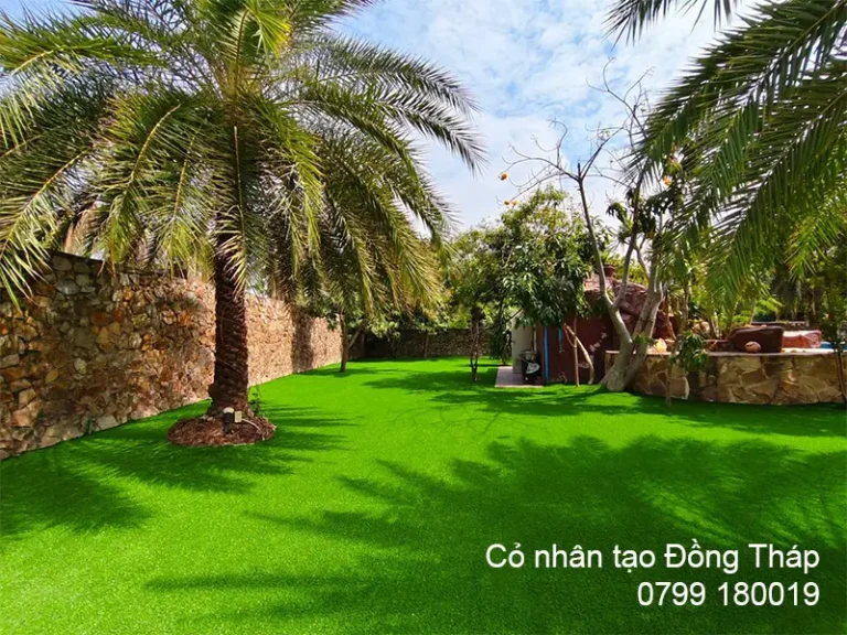 Cỏ nhân tạo Đồng Tháp