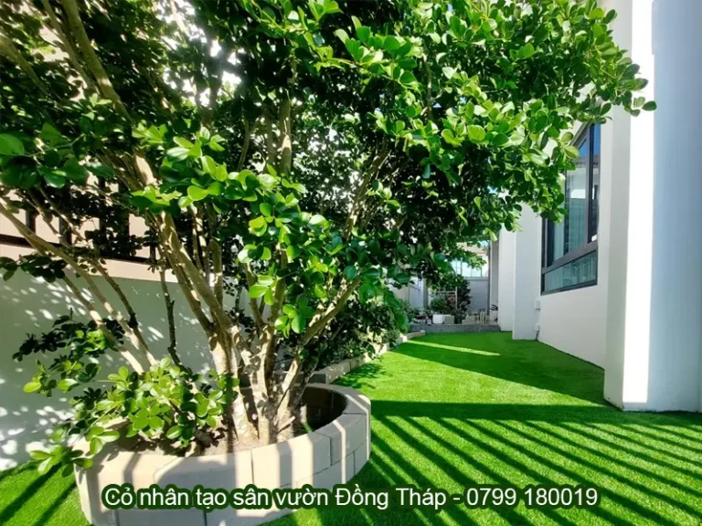 Cỏ nhân tạo Đồng Tháp