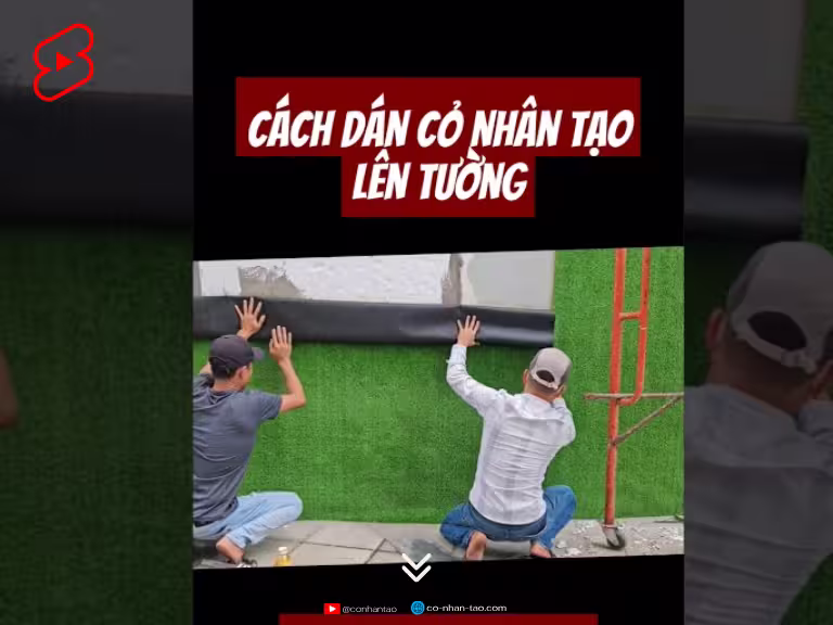 Cách dán cỏ nhân tạo lên tường