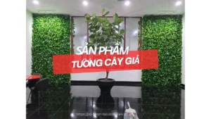 Cỏ nhân tạo trang trí tường