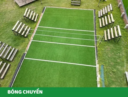 Cỏ nhân tạo sân bóng chuyền