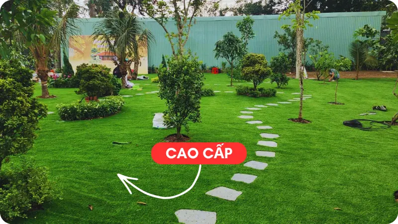 Cỏ nhân tạo sân vườn cao cấp