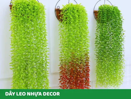 Dây leo nhựa, dây rủ các loại