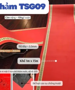 Thảm dẫn lối trải sự kiện tại HCM