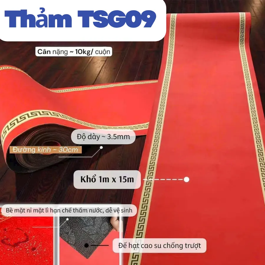 Thảm dẫn lối trải sự kiện tại HCM