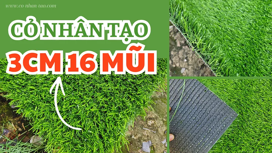 Cỏ nhân tạo 3cm bellin crown 3016