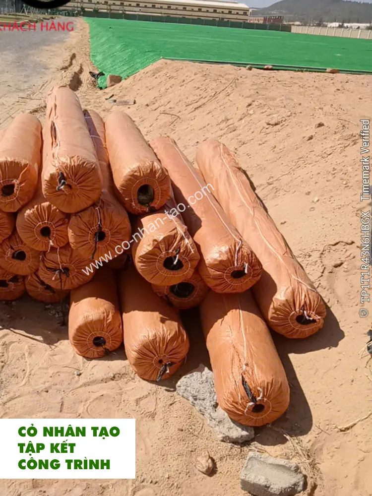 Cỏ nhân tạo 1.5cm loại rẻ