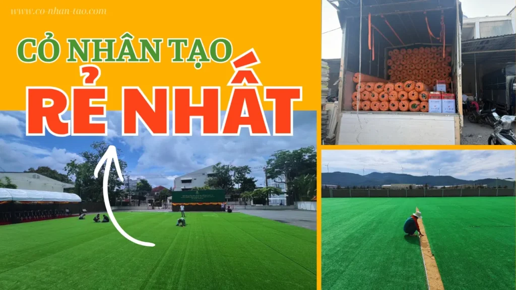 Video cỏ nhân tạo rẻ nhất