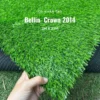 Cỏ nhân tạo 2cm bellin Crown 2014