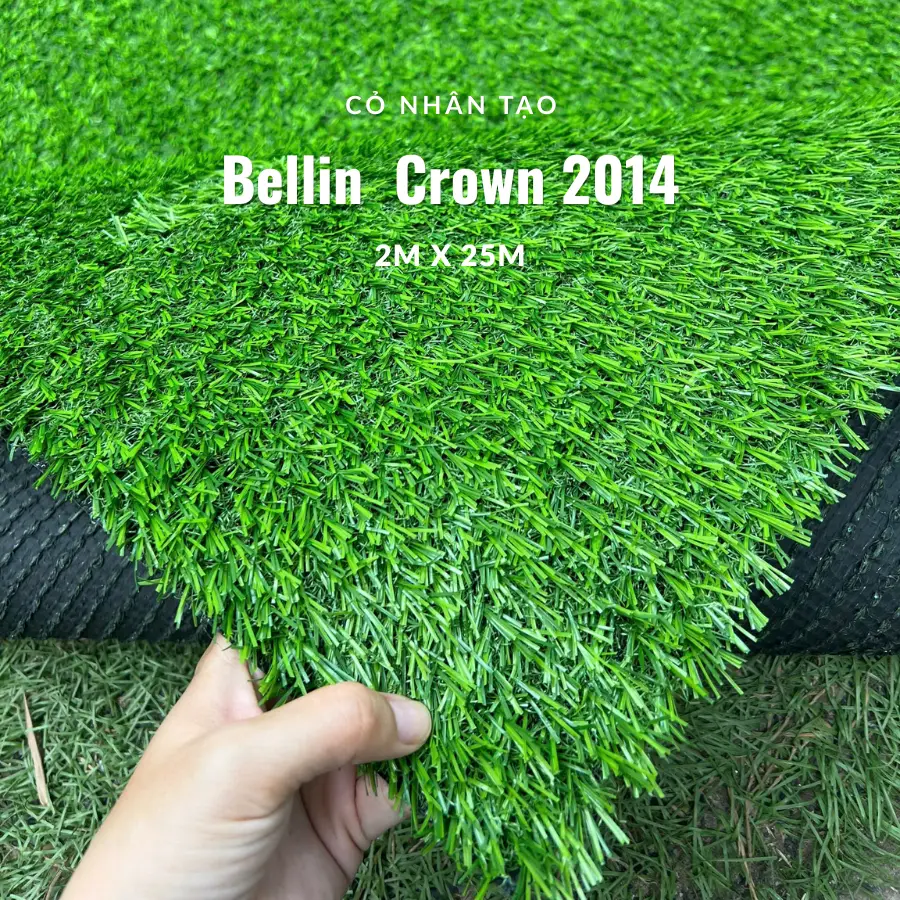 Cỏ nhân tạo 2cm bellin Crown 2014