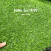 Cỏ nhân tạo 2cm Bellin Eco 18130
