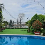 Cỏ nhân tạo trải hồ bơi