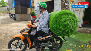Giao cỏ nhân tạo đi An Giang