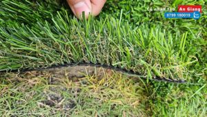 Cỏ nhân tạo sân vườn cao cấp ở An Giang