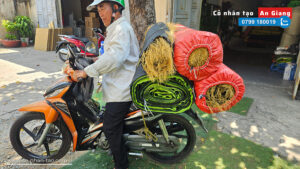 Giao hàng đi An Giang