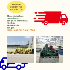 Giao Cỏ nhân tạo Bạc Liêu