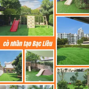Cỏ nhân tạo Bạc Liêu trải sân vườn