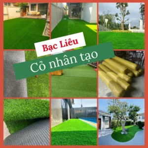 Cỏ nhân tạo Bạc Liêu