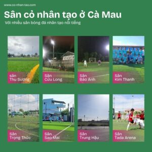 Cỏ nhân tạo Cà Mau