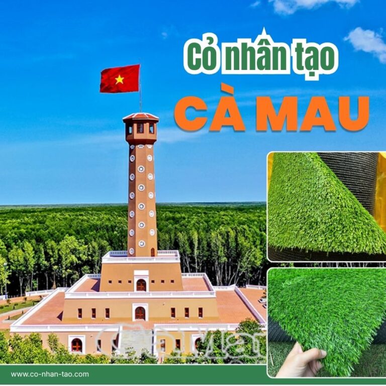 Cỏ nhân tạo Cà Mau