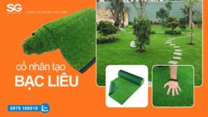Cỏ nhân tạo Bạc Liêu