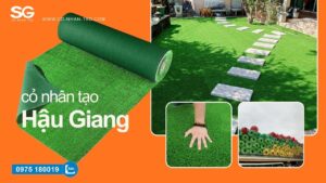 Cỏ nhân tạo Hậu Giang