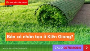 Cỏ nhân tạo Kiên Giang giá rẻ