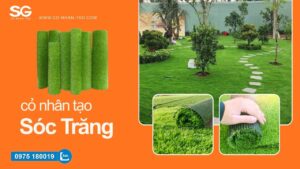 Cỏ nhân tạo Sóc Trăng