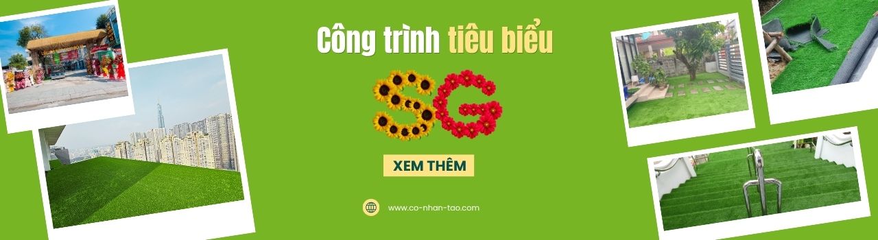 dự án thi công cỏ nhân tạo | Cỏ nhân tạo SG
