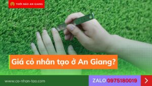Cỏ nhân tạo An Giang
