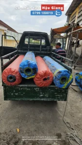 Giao hàng cỏ nhân tạo đi Hậu Giang