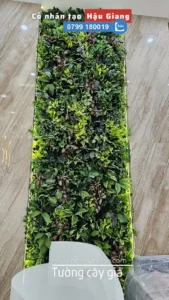 Tường cây giả Hậu Giang