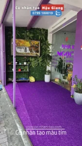 Cỏ nhân tạo màu tím trải cửa hàng ở Hậu Giang