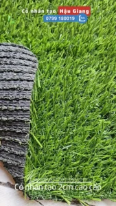 Cỏ nhân tạo 2cm cao cấp ở Hậu Giang