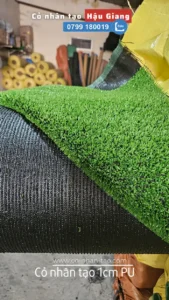 Cỏ nhân tạo 1cm cao cấp ở Hậu Giang