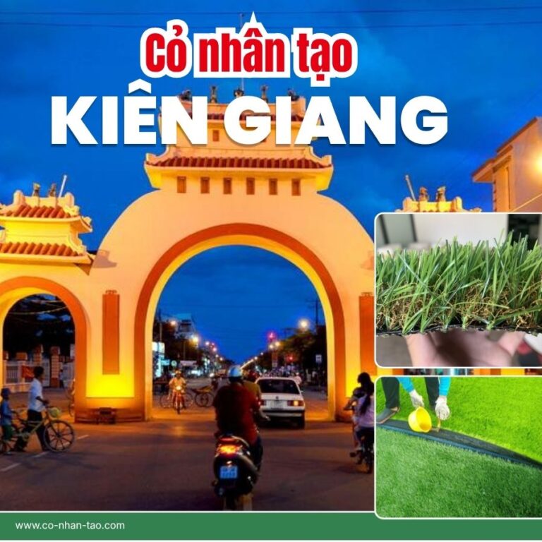 Cỏ nhân tạo Kiên Giang giá rẻ
