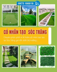 Cỏ nhân tạo Sóc Trăng