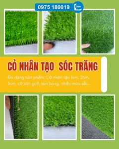 Cỏ nhân tạo Sóc Trăng