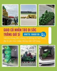 Cỏ nhân tạo Sóc Trăng
