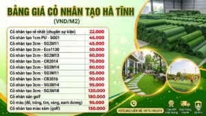 Cỏ nhân tạo Hà Tĩnh